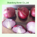 2015 Top Quality Fresh Red Onions